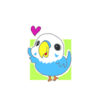 日常会話用 インコうずら君Vol.1（個別スタンプ：8）