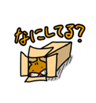 眉間にしわ(ペット版②)（個別スタンプ：16）