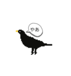ドットカラス（個別スタンプ：1）