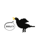 ドットカラス（個別スタンプ：2）