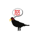 ドットカラス（個別スタンプ：4）