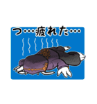 CAPURICO（個別スタンプ：5）
