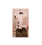 黒のチョコと白黒のココア（個別スタンプ：8）