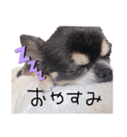 うーたんは可愛い（個別スタンプ：2）