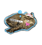 モフ過ぎにゃんこ（個別スタンプ：3）