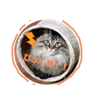モフ過ぎにゃんこ（個別スタンプ：5）
