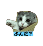 コテツとゴン太（個別スタンプ：4）