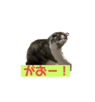 コテツとゴン太（個別スタンプ：6）