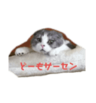 コテツとゴン太（個別スタンプ：7）