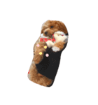 maronn tann（個別スタンプ：1）