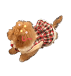 maronn tann（個別スタンプ：2）