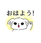関西弁をちょっと話すマルチーズ（個別スタンプ：1）