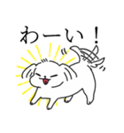 関西弁をちょっと話すマルチーズ（個別スタンプ：7）