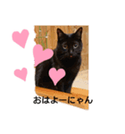 にゃんスター( 〃▽〃)（個別スタンプ：2）