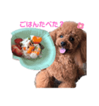 キャワわんこ チョコとココア（個別スタンプ：3）