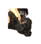 My lovely   pets（個別スタンプ：6）
