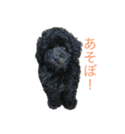 My lovely   pets（個別スタンプ：8）