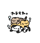 ゆるねこさんのスタンプ（個別スタンプ：12）