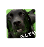 ラクラクらっく〜（個別スタンプ：1）