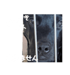 ラクラクらっく〜（個別スタンプ：6）
