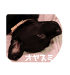 ラクラクらっく〜（個別スタンプ：8）