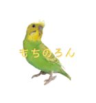 まめちゃん集（個別スタンプ：4）