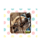 はなちゃんの癒し（個別スタンプ：1）