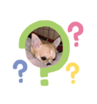 はなちゃんの癒し（個別スタンプ：4）