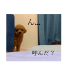 ワンコとBabyと時々ママ（個別スタンプ：2）
