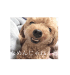 ワンコとBabyと時々ママ（個別スタンプ：3）