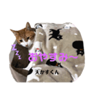 ヴェッキオ＆天かす3（個別スタンプ：6）
