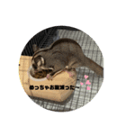 animalsスタンプショップ2（個別スタンプ：4）