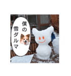 sorayukidaruma2（個別スタンプ：1）