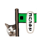 ワカメ③（個別スタンプ：6）