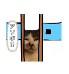 ワカメ③（個別スタンプ：7）