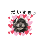 sora ❤︎（個別スタンプ：5）