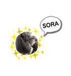 sora ❤︎（個別スタンプ：7）