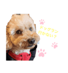 LEOの1日（個別スタンプ：3）