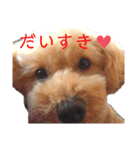 LEOの1日（個別スタンプ：7）