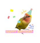 コザクラインコ ペッコちゃん（個別スタンプ：6）