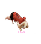 ペキチワゆぅちゃん（個別スタンプ：3）