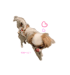 ペキチワゆぅちゃん（個別スタンプ：4）