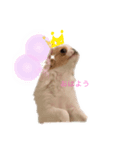 ペキチワゆぅちゃん（個別スタンプ：8）