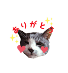 我が家のチビ太スタンプ（個別スタンプ：8）