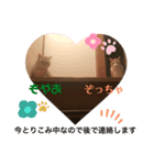 猫のぞーやんともやお（個別スタンプ：7）