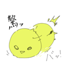 かわいいひよこ？「ぴよこスタンプ」（個別スタンプ：15）