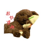 うちの子すたんぷ♡きゃるver.（個別スタンプ：2）