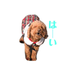 うちの子すたんぷ♡きゃるver.（個別スタンプ：8）