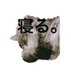 よしこちゃん。（個別スタンプ：3）