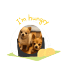 ひまぽぽ2（個別スタンプ：3）